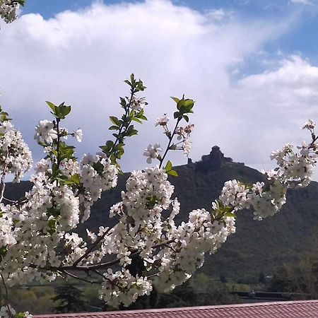 Garden And Panorama Mtskheta Exterior foto