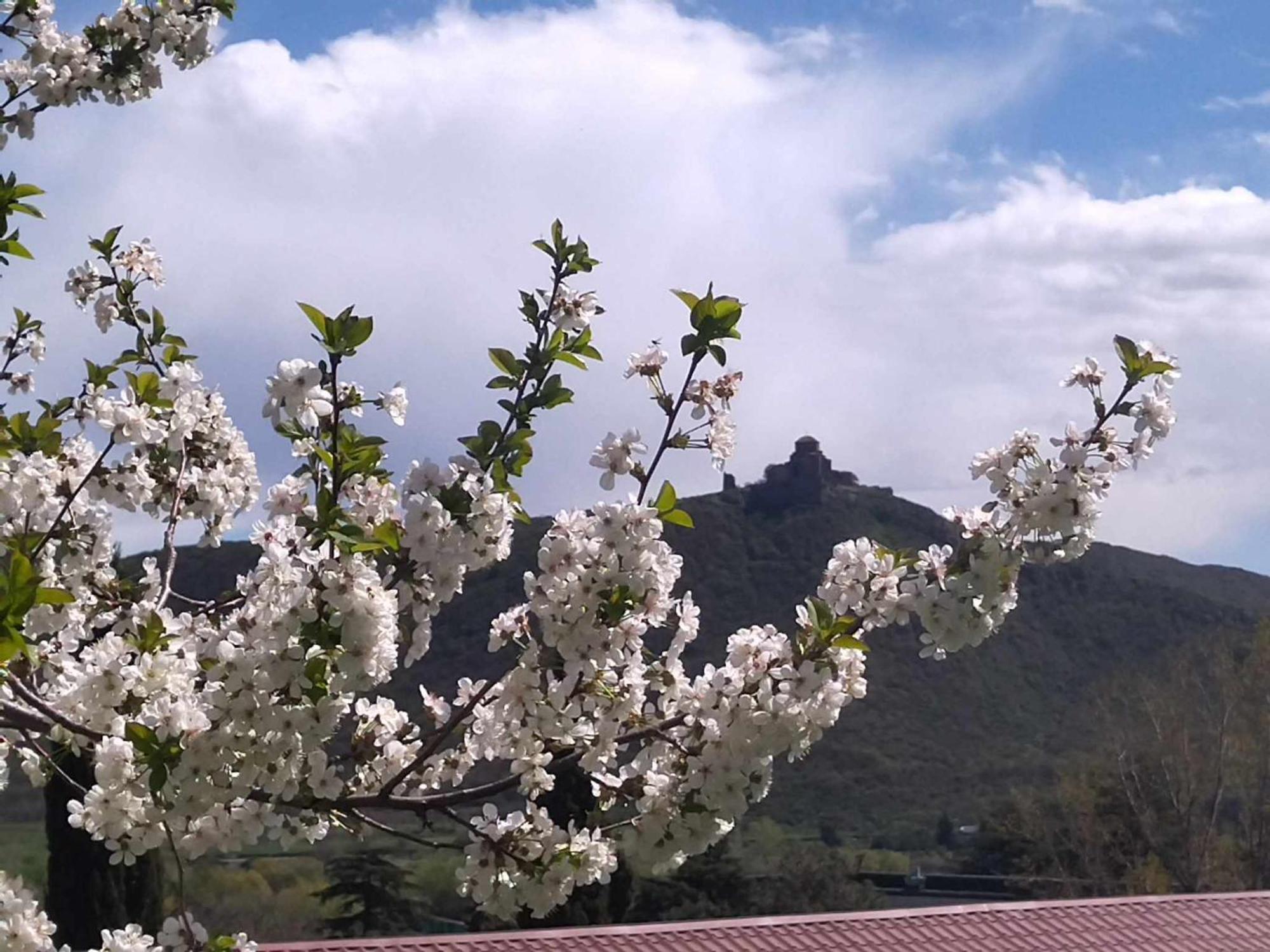 Garden And Panorama Mtskheta Exterior foto